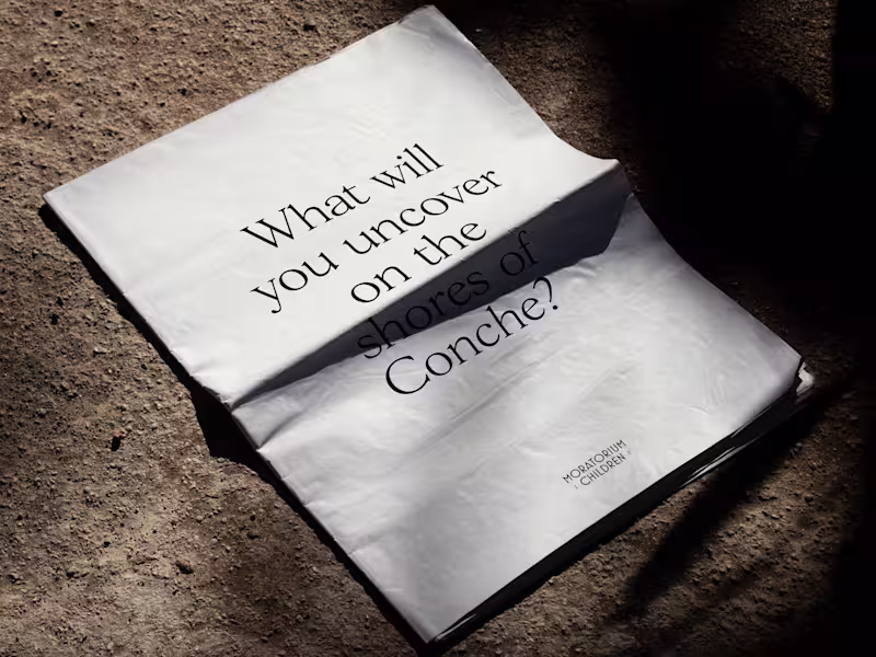 Cover image for Moratorium Children