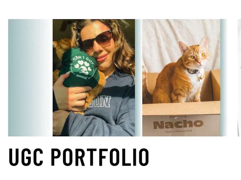 Cover image for White and Lime Minimal UGC Creator Portfolio Presentation.mp4