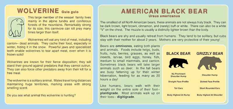 Cover image for Museum Panels