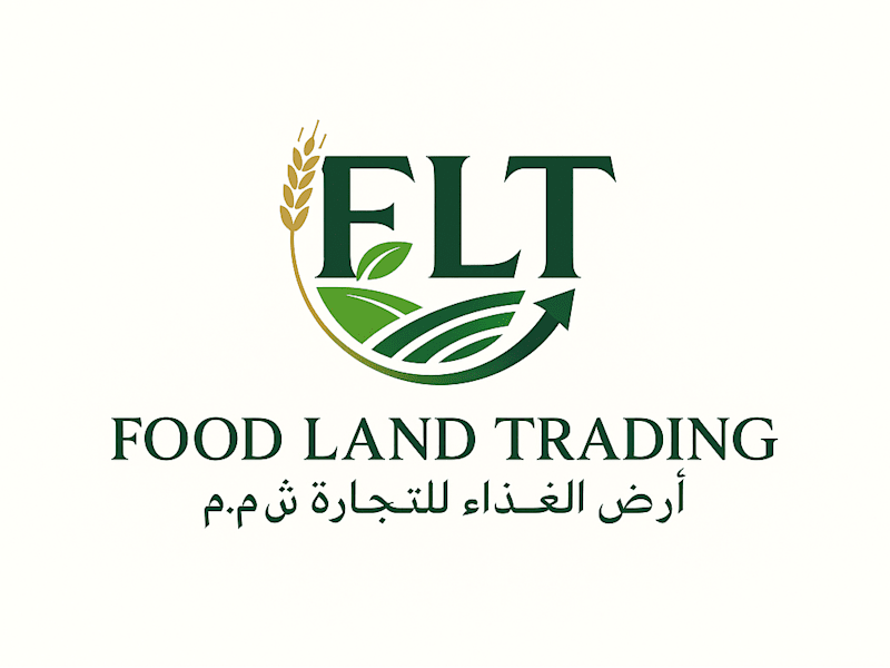 Cover image for Professional FLT Brand Logo Design