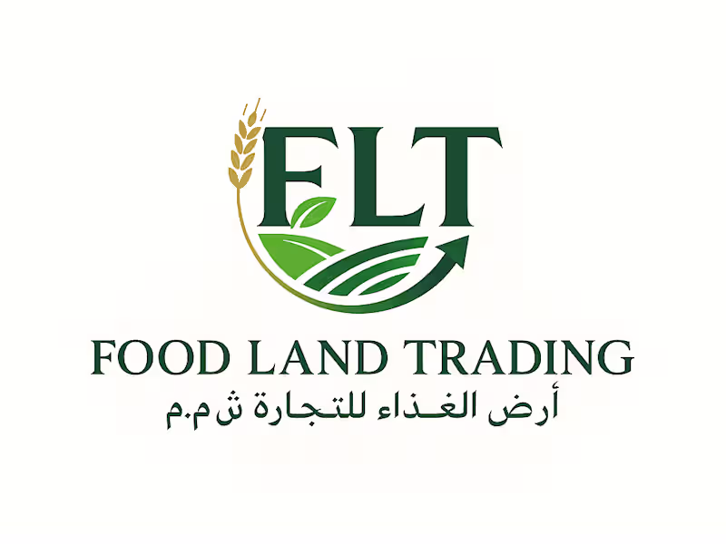 Cover image for Professional FLT Brand Logo Design
