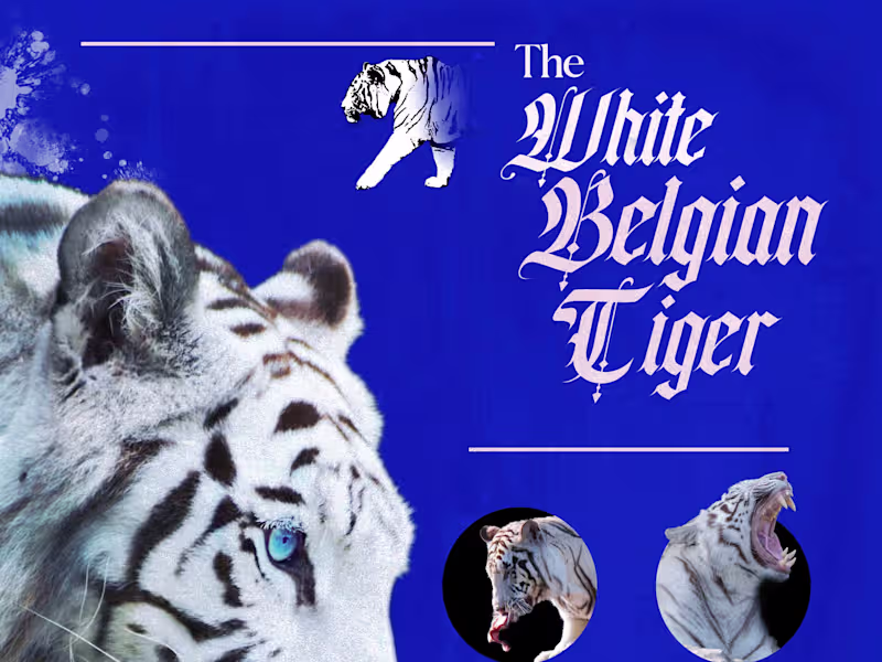 Cover image for Let's bring your vision to life with engaging design