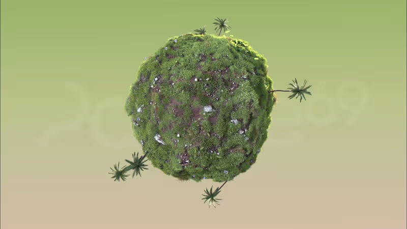 Cover image for Jivvy - Rice brand video 