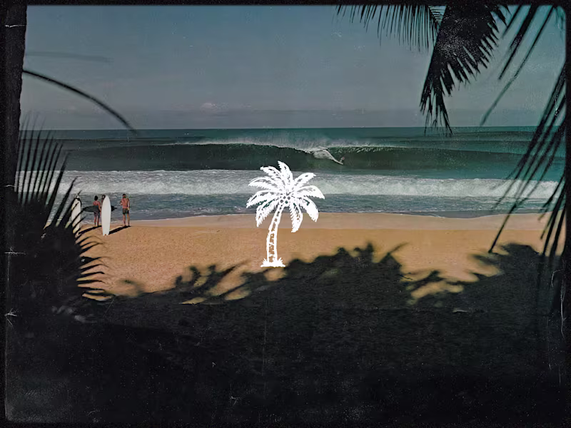 Cover image for Palm -- Logo Design