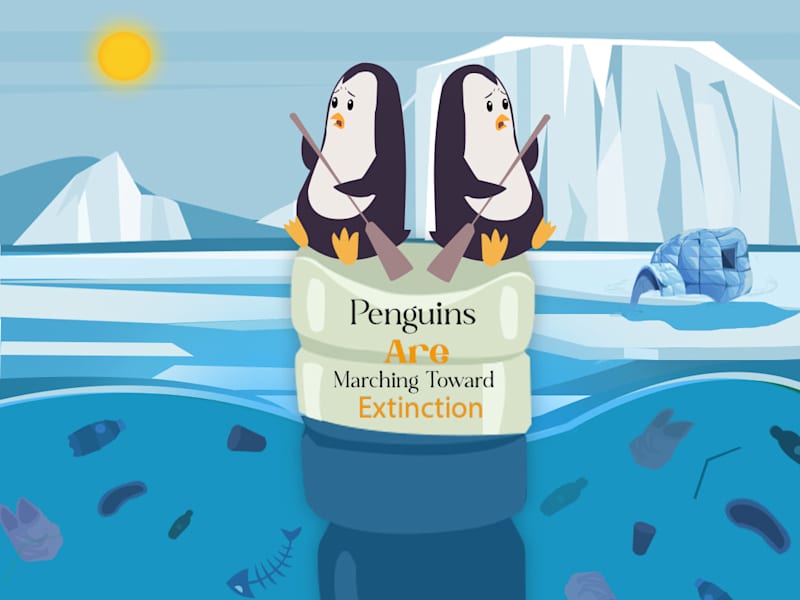 Cover image for social media poster 