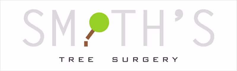 Cover image for Logo Designs