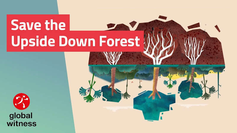 Cover image for What is the Cerrado – and why is it important for our planet?
