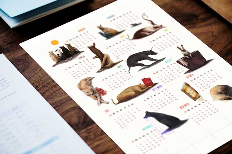 Cover image for A Year with Cheery, Coco, Simba & Milie – Dogs Calendar