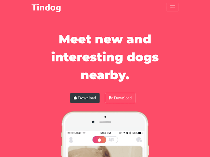 Cover image for TinDog