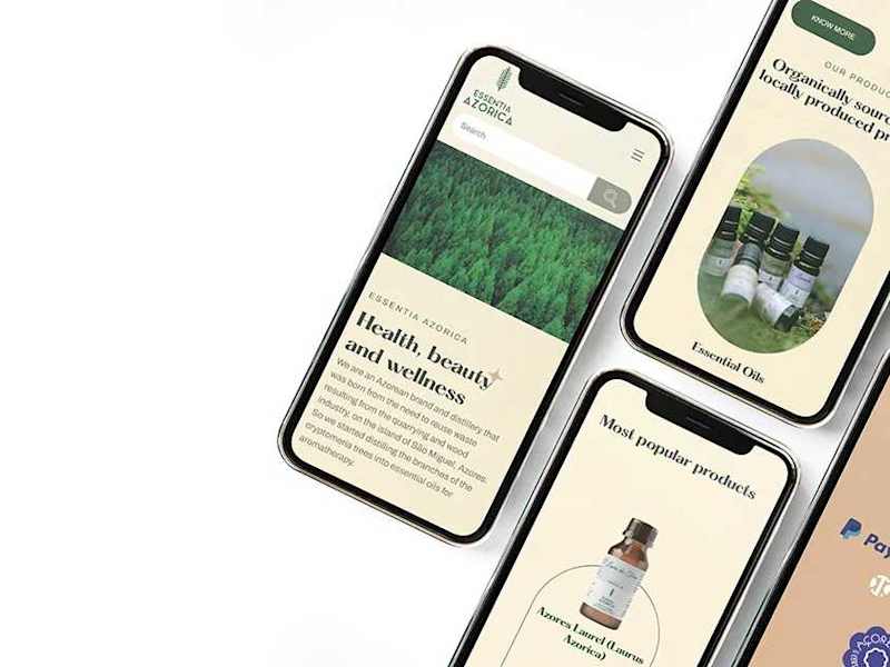 Cover image for Custom WordPress Website for Local Business