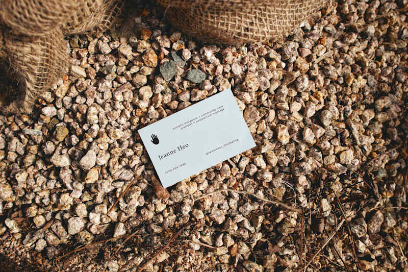 Cover image for Wellness Brand Identity