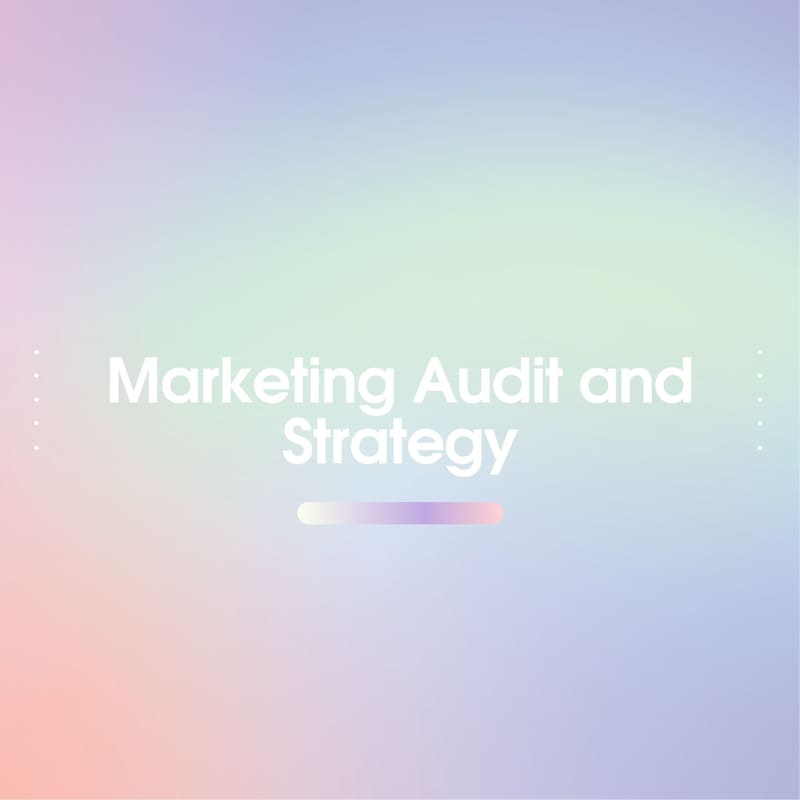Cover image for Marketing Audit and Strategy
