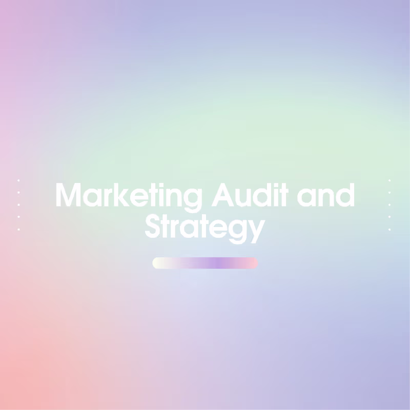Cover image for Marketing Audit and Strategy