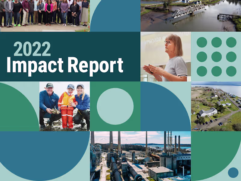 Cover image for Report Design
