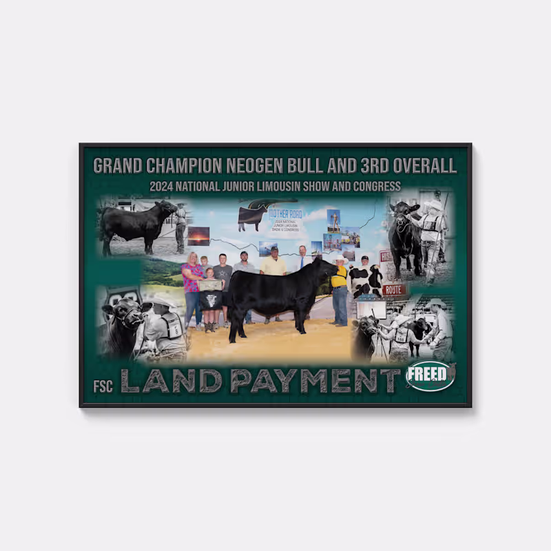 Cover image for Freed Christmas Banner #1