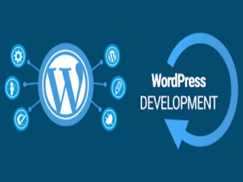 Cover image for create WordPress website,