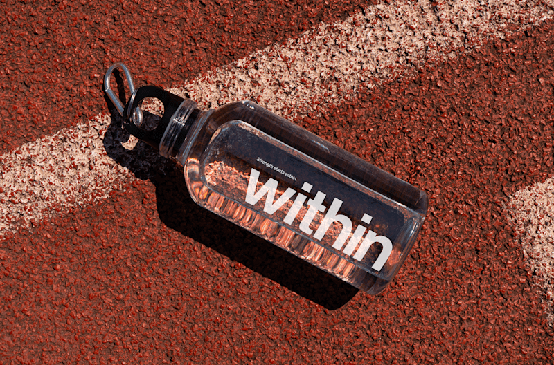 Cover image for Within