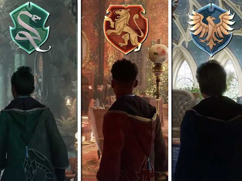 Cover image for Which House Should You Choose in Hogwarts Legacy?