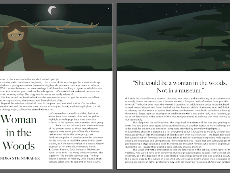 Cover image for Article Illustration