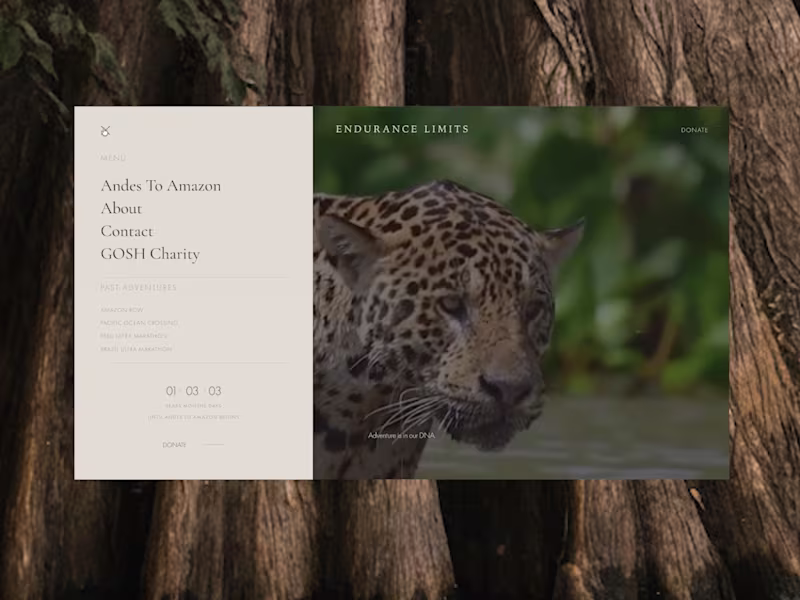 Cover image for Luxury Website Design