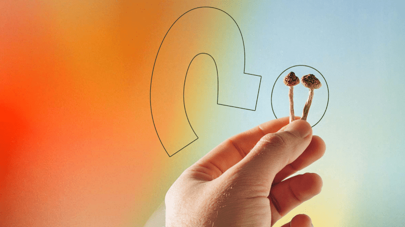 Cover image for SEO Content - How Many Shrooms?