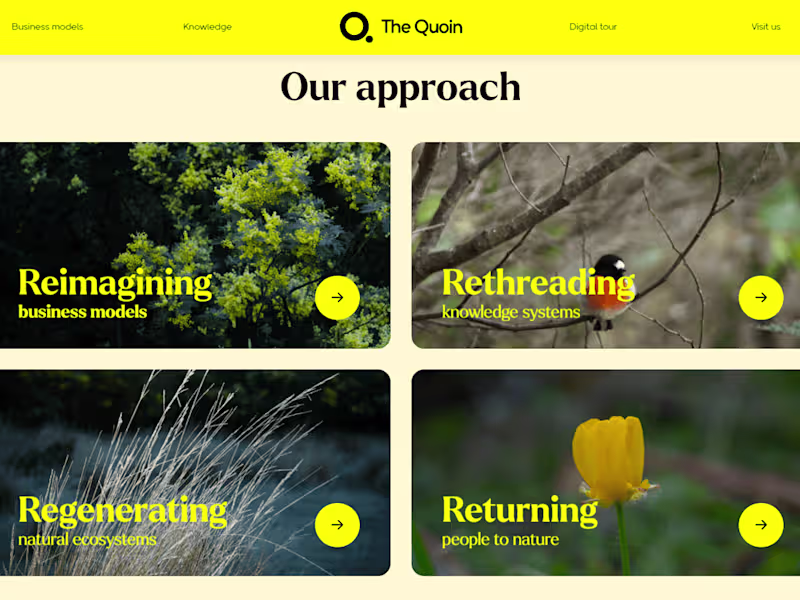 Cover image for The Quoin Figma To Webflow Development