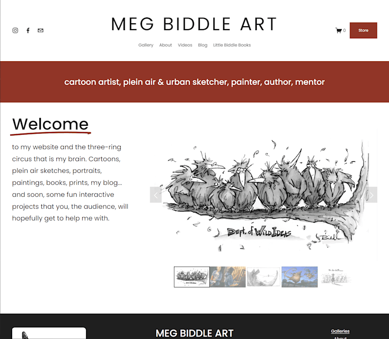 Cover image for Meg Biddle Art