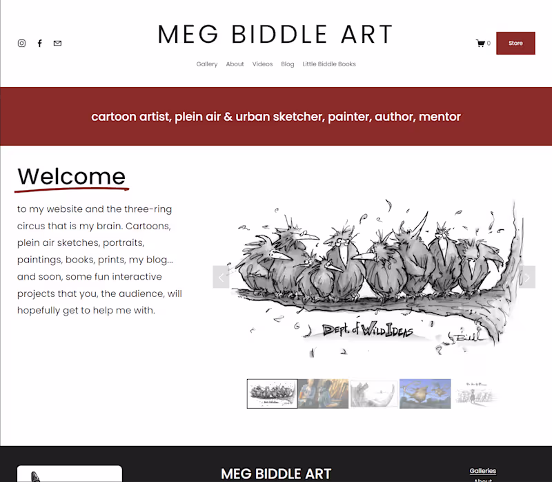 Cover image for Meg Biddle Art