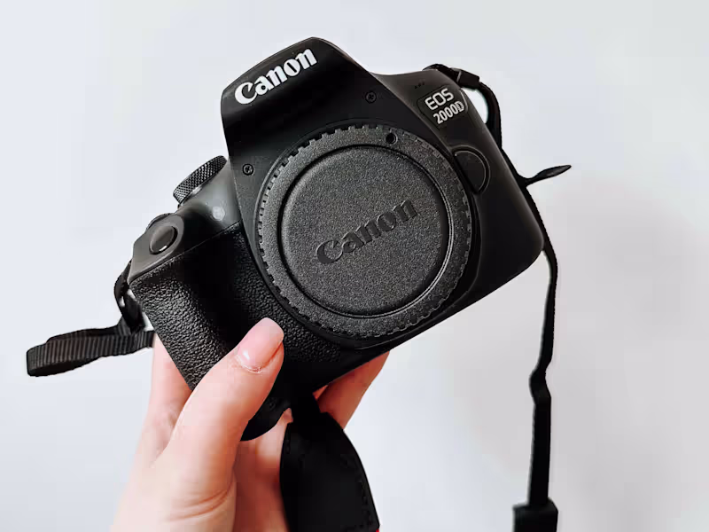 Cover image for Organic Social Media Services