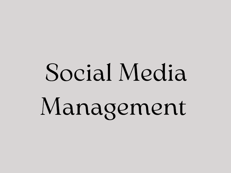 Cover image for Social Media Management and Content Creation