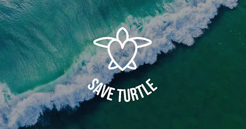 Cover image for Strategic Brand Design for a Nature Conservation NGO 