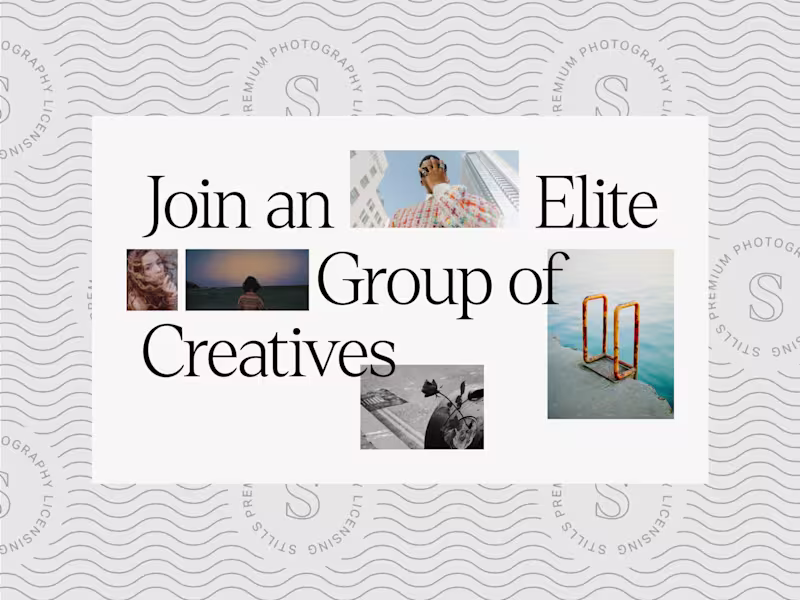 Cover image for Stills