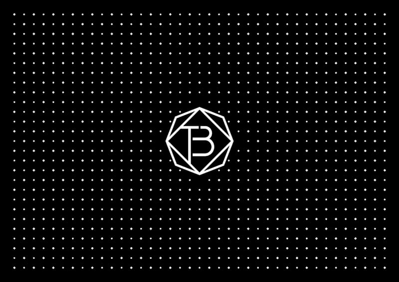 Cover image for The Bowie_Branding :: Behance