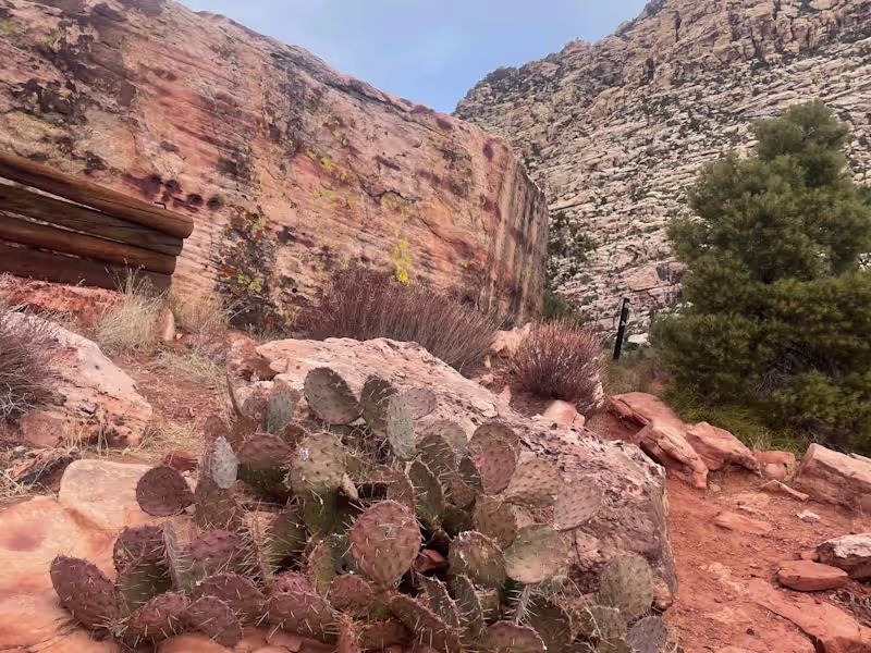 Cover image for In need of a custom website you can manage?