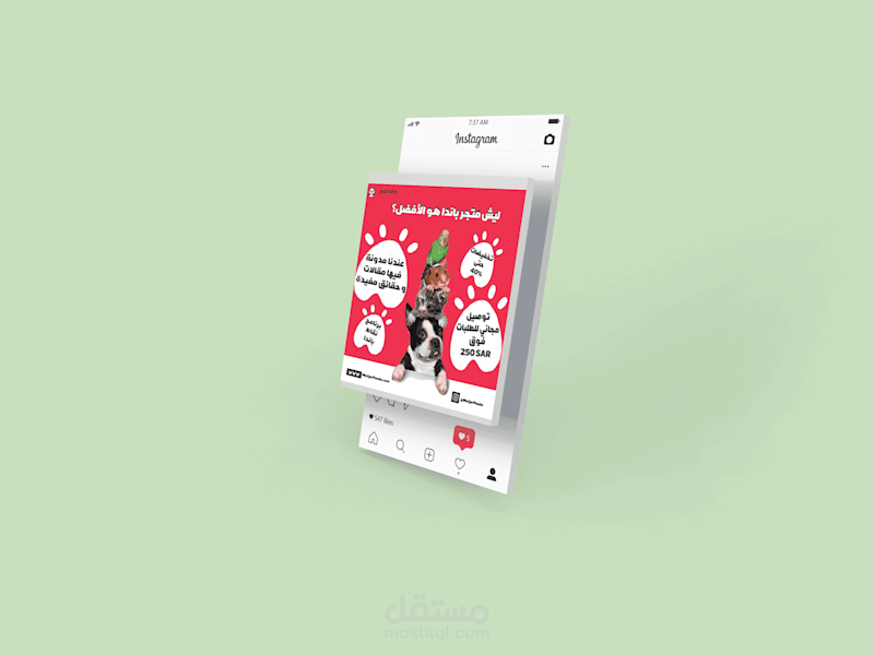 Cover image for Social media posts for a Pet Store