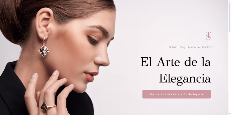 Cover image for Tarsia Silver Website