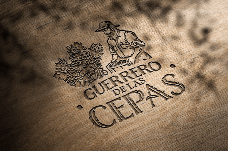 Cover image for Brand Identity Projects