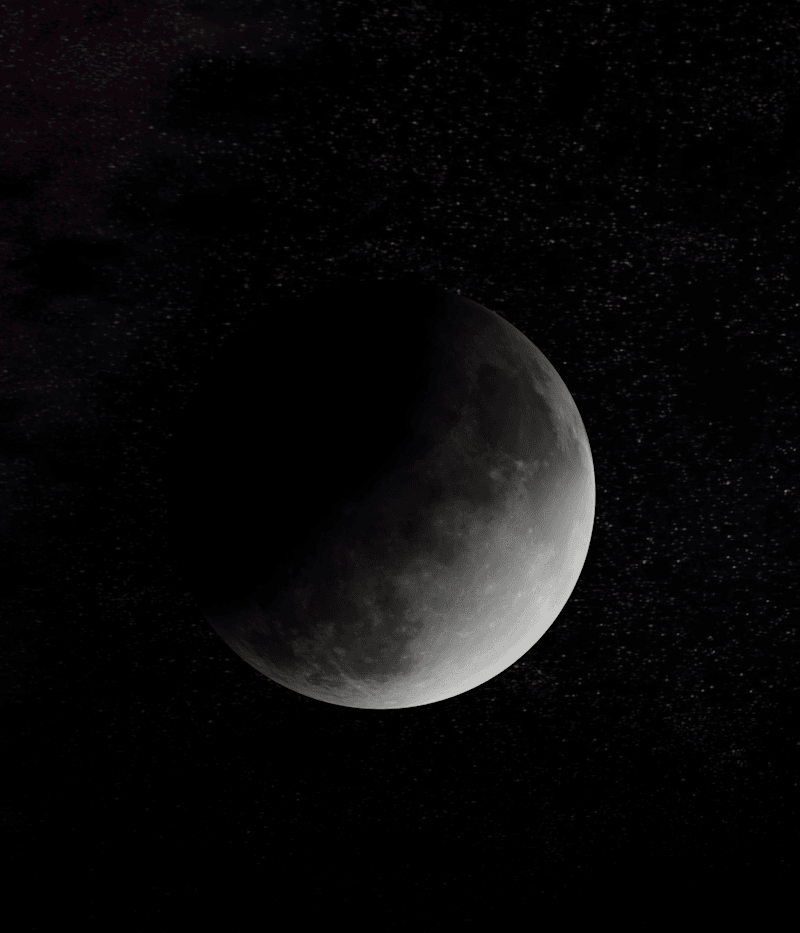 Cover image for Moon