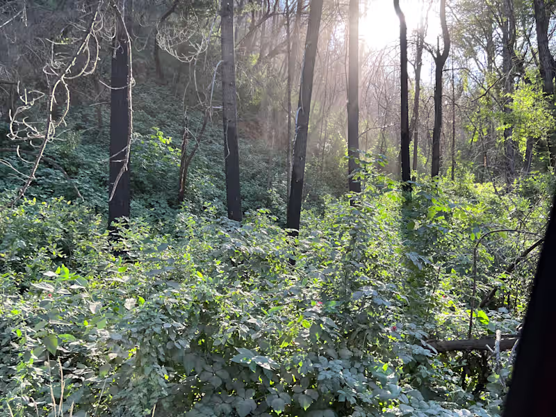 Cover image for Let me add that sparkle back to your team!