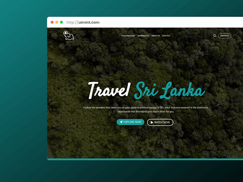 Cover image for Tourist Agency - Visit Lanka Paradise