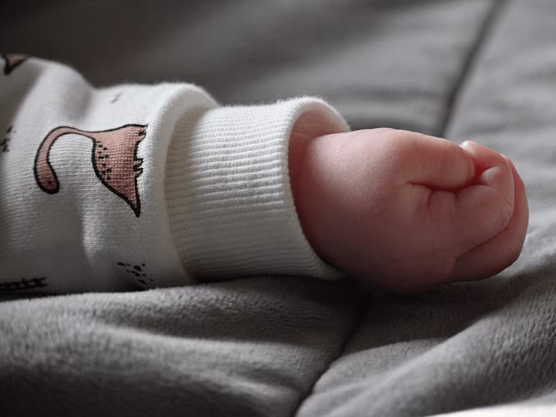 Cover image for Photographer