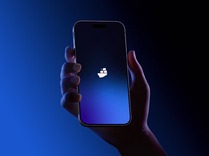 Cover image for Brand Development