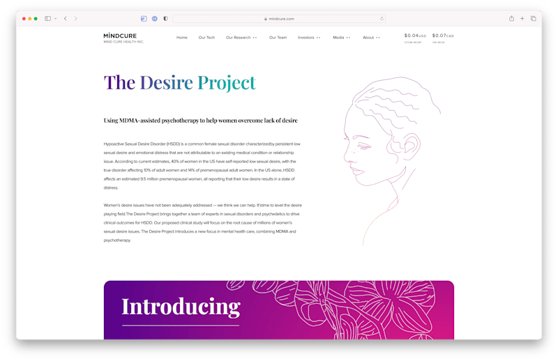 Cover image for The Desire Project Manifesto