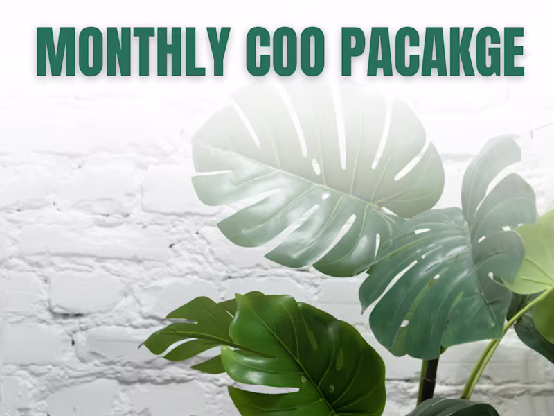 Cover image for Monthly COO Support Package