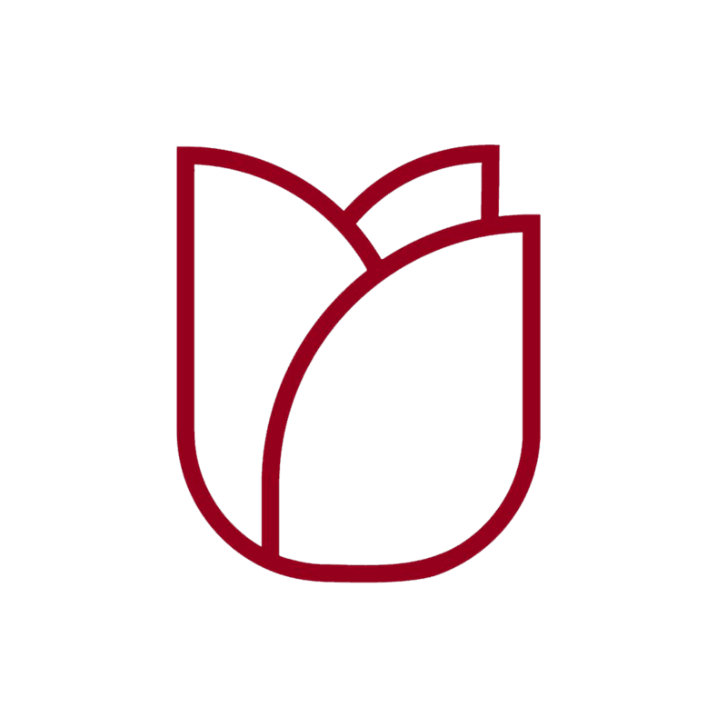 Cover image for Noah Rosecrans LLC. 