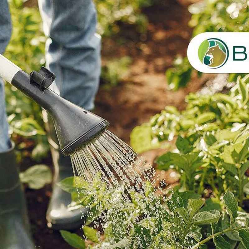 Cover image for Enhancing Crop Yield with BIOS44 Organic Fertilizer
