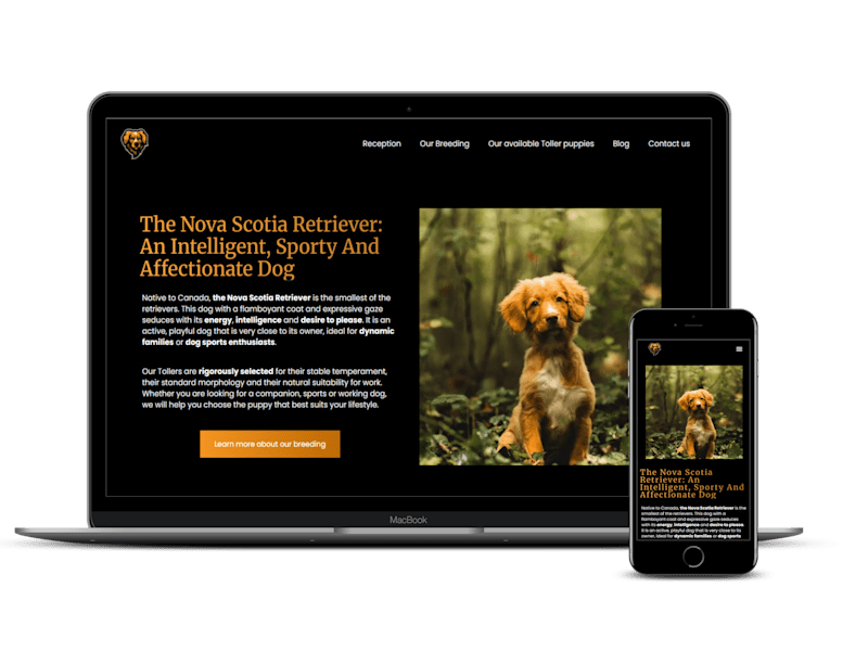 Cover image for Dog breader website