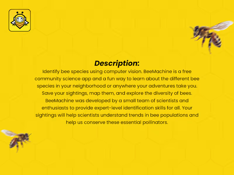 Cover image for BeeMachine is a React Native