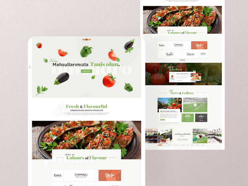 Cover image for Agriculture Company website