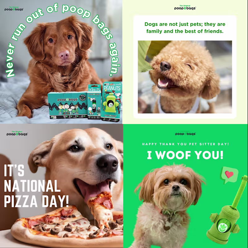 Cover image for The Original Poop Bags Social Media Management